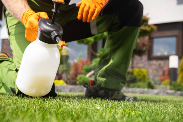 Best Wildlife Control Services  in Homer, IL