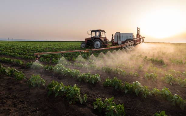 Best Mosquito Control Services  in Homer, IL