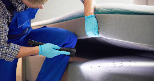 Best Emergency Pest Control  in Homer, IL